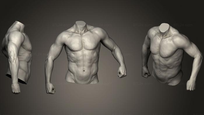 Anatomy of skeletons and skulls (Torso With Arms 11, ANTM_1134) 3D models for cnc